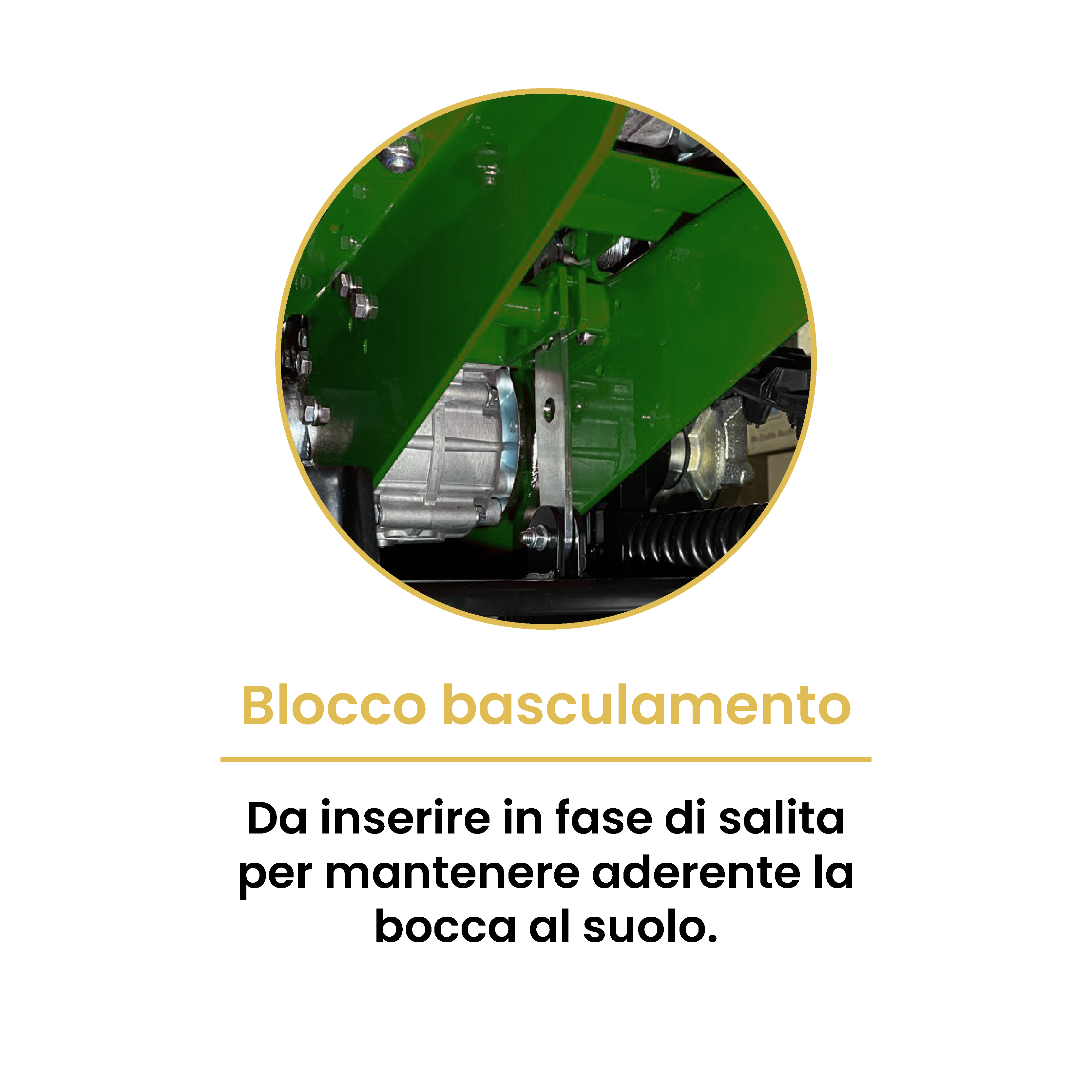 active-ac950-hd-trinciasarmenti-cingolato-professionale image 8