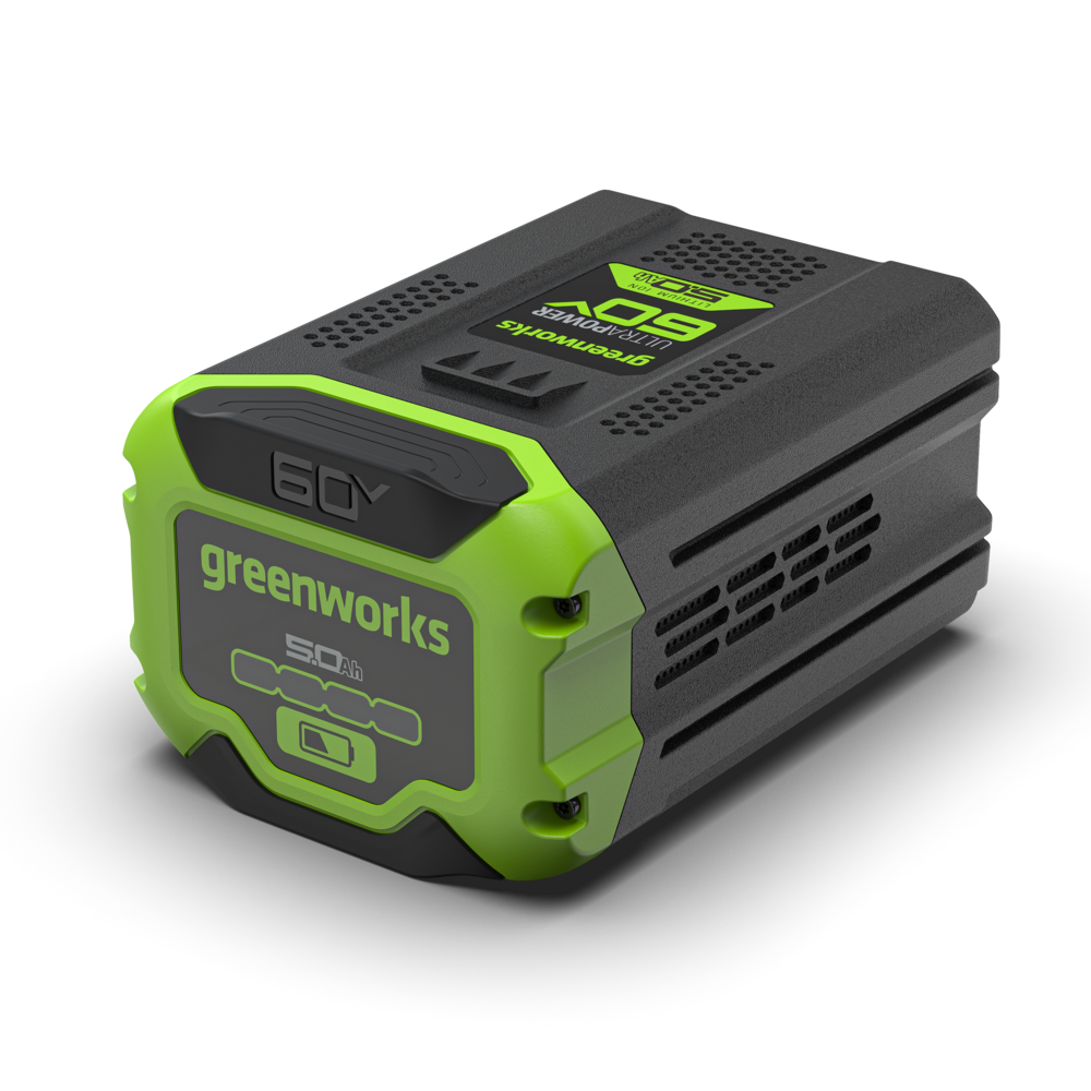 greenworks-60v-batteria-5ah-gen-ii image 1