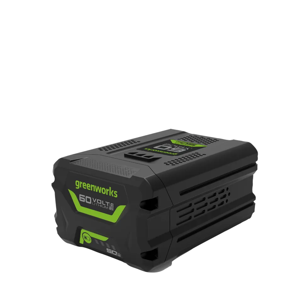 greenworks-g60b5-batteria-60v-5ah-per-utensili-giardino-e-power-tools image 1