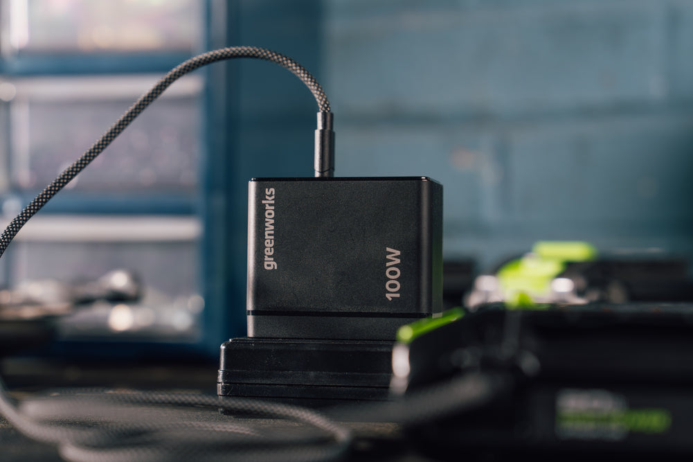 greenworks-powerall-ap100ea-caricatore-usb-c-100w-2x-usb-c-usb-a image 3
