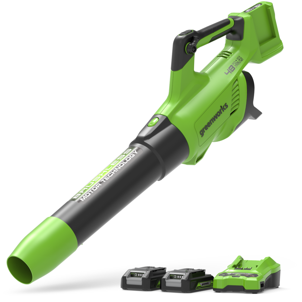 greenworks-powerall-48v-24v-x-2-soffiatore-foglie-217-km-h-con-2x-batterie-2ah image 1