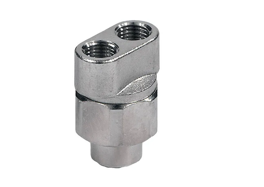 ar-blue-clean-testina-doppio-ugello-3025-in-acciaio image 1