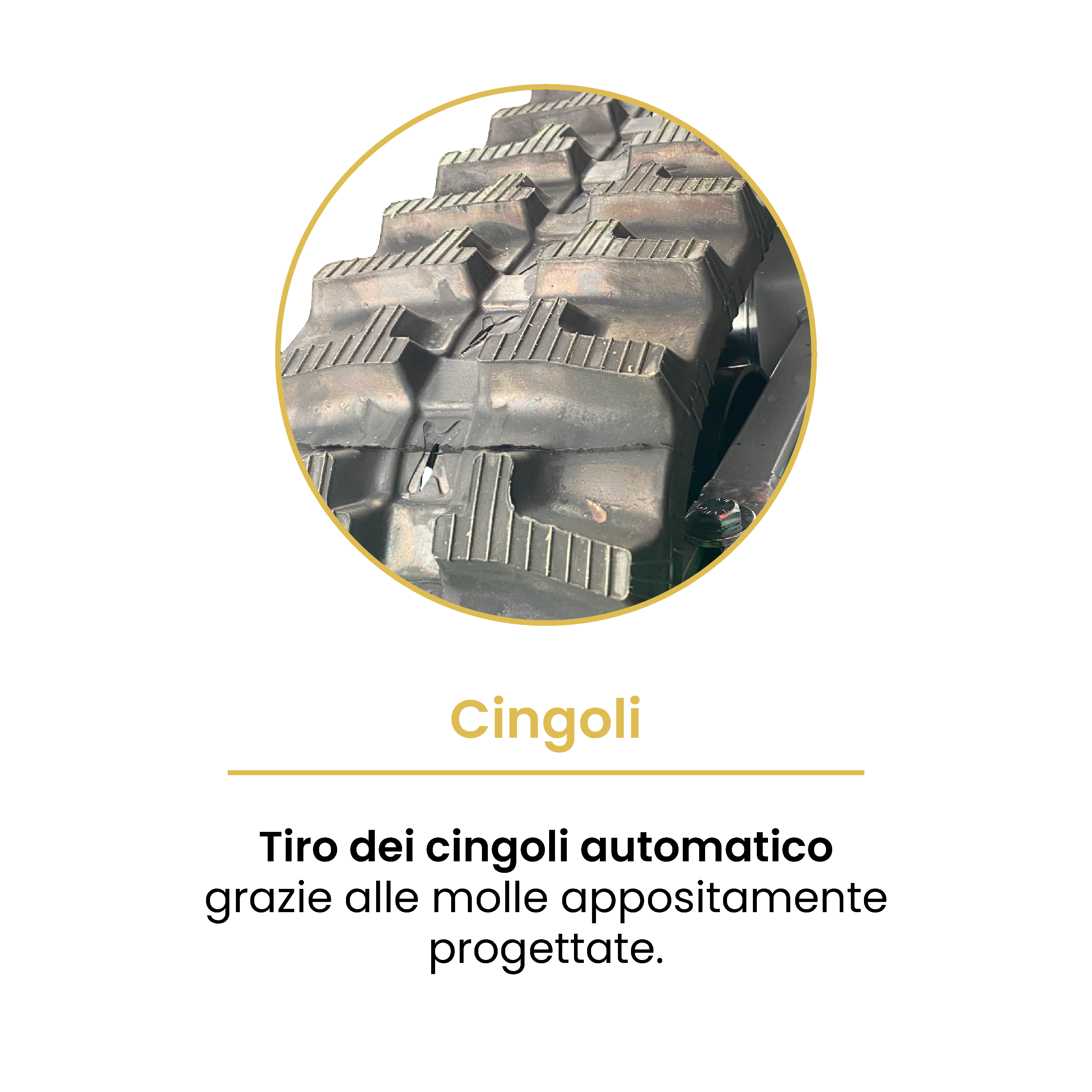 active-ac950-hd-trinciasarmenti-cingolato-professionale image 4