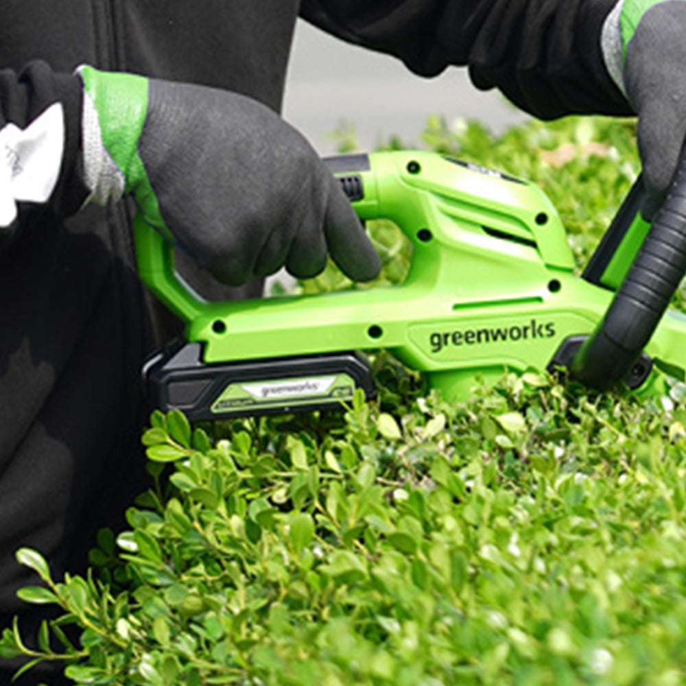 greenworks-powerall-24v-batteria-2ah-agli-ioni-di-litio image 3