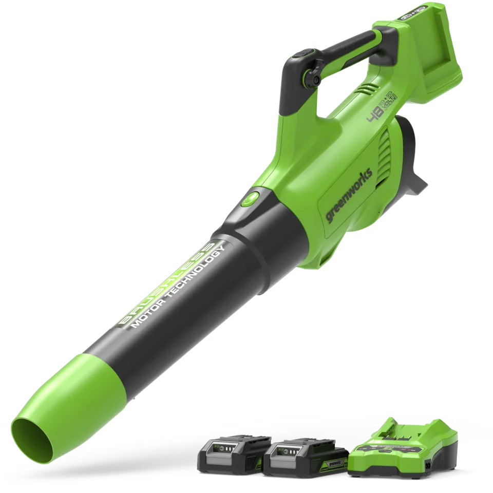 greenworks-powerall-48v-24v-x-2-soffiatore-foglie-217-km-h-con-2x-batterie-2ah image 1
